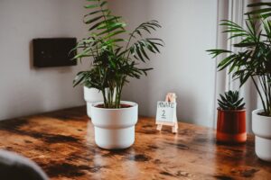 Kávézóból coworking – városi nomádok gyakorlata