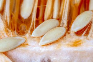 A házi fermentálás alapjai – kimchi, kefír, kombucha