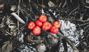 Házi szószok hamburgerekhez és grillezéshez