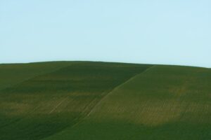 Hogyan mondjunk nemet bűntudat nélkül?