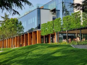 Természetjárás és tudatosság – ne hagyj nyomot