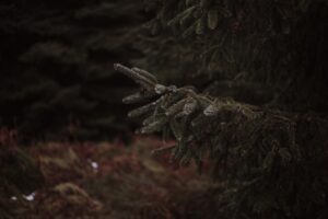 Hogyan legyen otthonod „slow” tér?