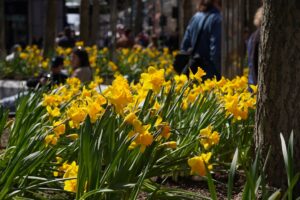 Városi rendezvények, amik feltöltenek