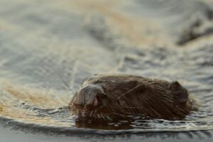 Miként spórolhatsz a vízszámlán egyszerűen?
